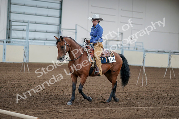 2020 - AB Morgan Horse - Fri, Sept 04 - 00142