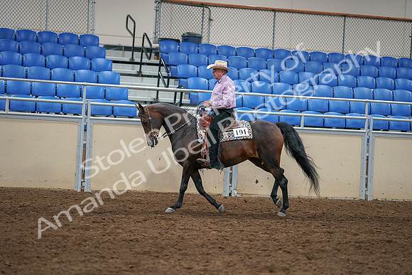 2020 - AB Morgan Horse - Sat, Sept 05 - 05670