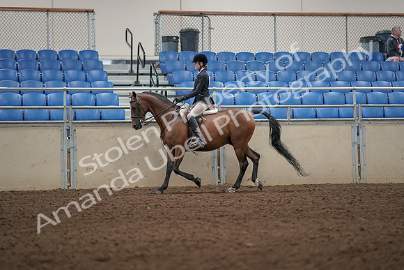 2019 Morgan Horse Show - Aug 31, 2019 - 04873