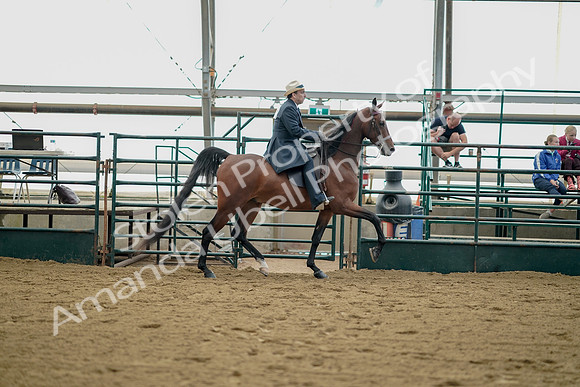 July 21, 2019 - 01858