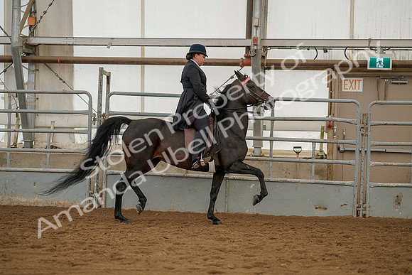 July 20, 2019 - 04525