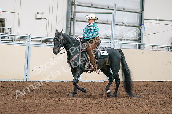 2020 - AB Morgan Horse - Sun, Sept 06 - 01572