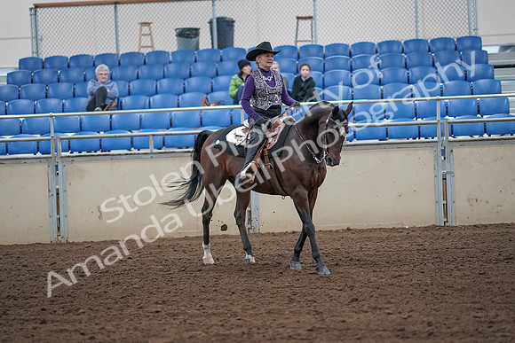 2019 Morgan Horse Show - Aug 31, 2019 - 10786