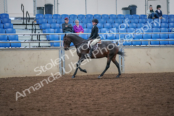 2019 Morgan Horse Show - Aug 30, 2019 - 20564