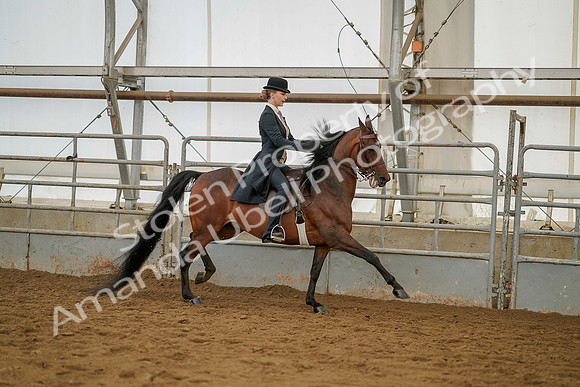 July 20, 2019 - 04607