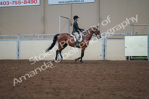 2019 Morgan Horse Show - Aug 30, 2019 - 21032