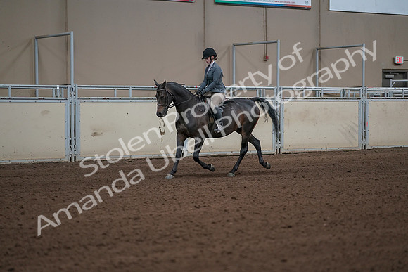 2019 Morgan Horse Show - Sept 01, 2019 - 10901_1