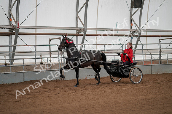 July 20, 2019 - 00293