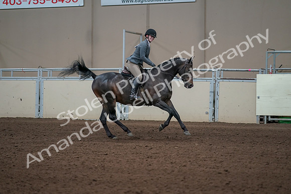 2019 Morgan Horse Show - Sept 01, 2019 - 11120