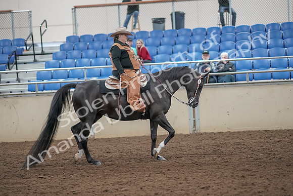 2019 Morgan Horse Show - Aug 31, 2019 - 06218