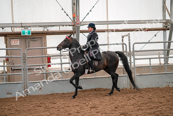 July 19, 2019 - 14098