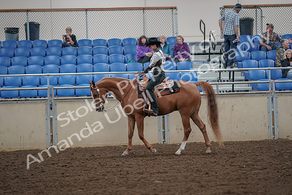 2019 Morgan Horse Show - Aug 30, 2019 - 25885