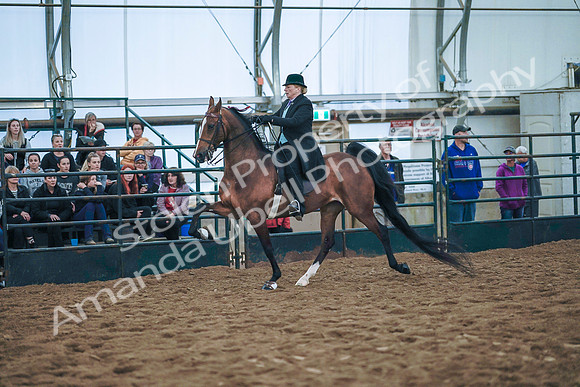 July 20, 2019 - 24072