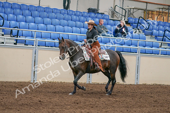 2020 - AB Morgan Horse - Sun, Sept 06 - 01594