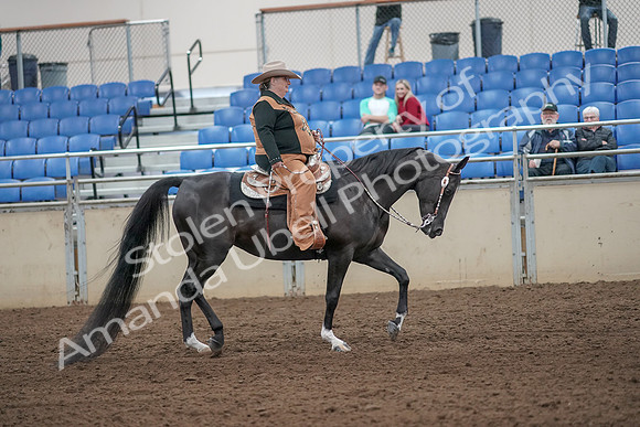 2019 Morgan Horse Show - Aug 31, 2019 - 06211