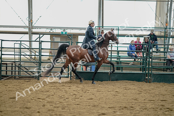 July 21, 2019 - 01865
