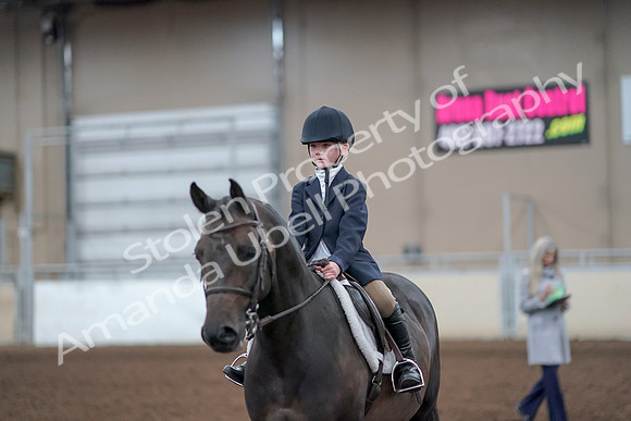 2019 Morgan Horse Show - Aug 31, 2019 - 19706
