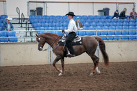2019 Morgan Horse Show - Aug 31, 2019 - 14112