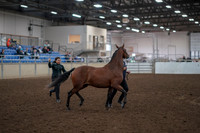 2019 Morgan Horse Show - Aug 31, 2019 - 00992