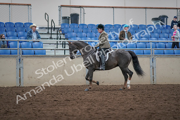 2019 Morgan Horse Show - Aug 31, 2019 - 14927