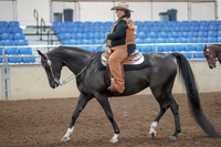 2019 Morgan Horse Show - Aug 31, 2019 - 06022