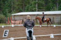 2019 Morgan Horse Show - Aug 30, 2019 - 00216