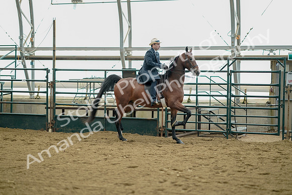 July 21, 2019 - 01718