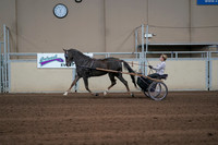 2019 Morgan Horse Show - Sept 01, 2019 - 05919