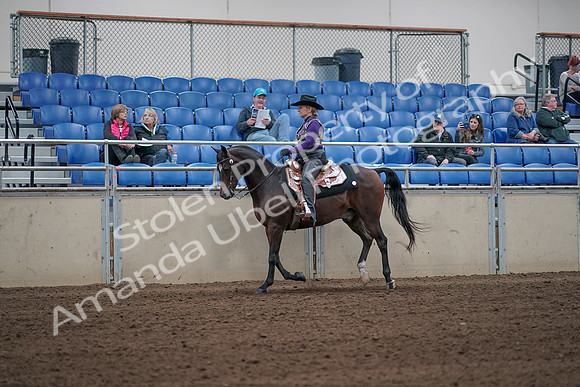 2019 Morgan Horse Show - Aug 31, 2019 - 10630