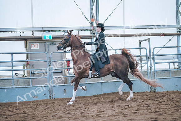 July 20, 2019 - 24048