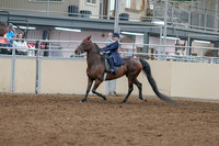2020 - AB Morgan Horse - Sat, Sept 05 - 04749