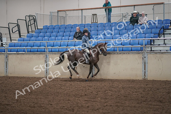 2019 Morgan Horse Show - Aug 31, 2019 - 07478