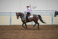 2020 - AB Morgan Horse - Sat, Sept 05 - 05654