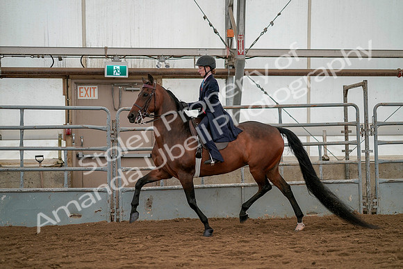 July 19, 2019 - 3889