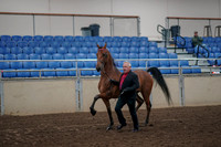 2019 Morgan Horse Show - Aug 31, 2019 - 00550