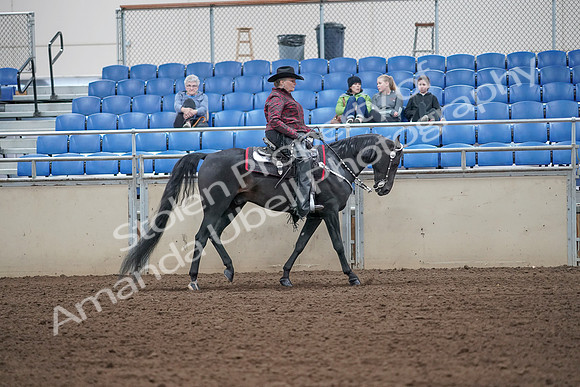 2019 Morgan Horse Show - Aug 31, 2019 - 10673