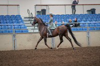 2019 Morgan Horse Show - Aug 31, 2019 - 07667
