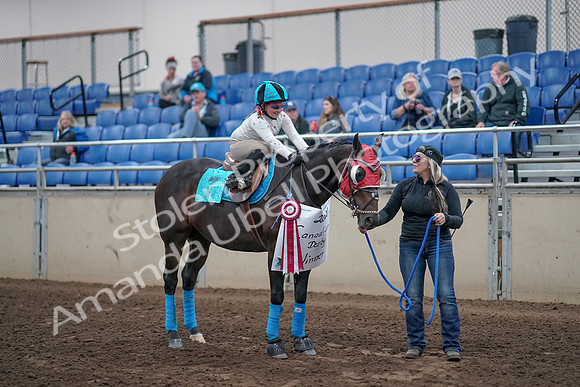 2019 Morgan Horse Show - Aug 31, 2019 - 10239