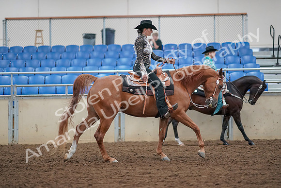 2019 Morgan Horse Show - Aug 30, 2019 - 16983