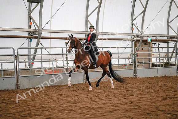 July 19, 2019 - 8702