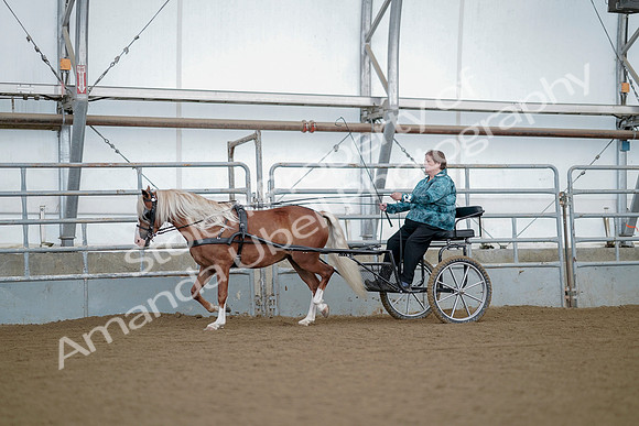 July 21, 2019 - 06624