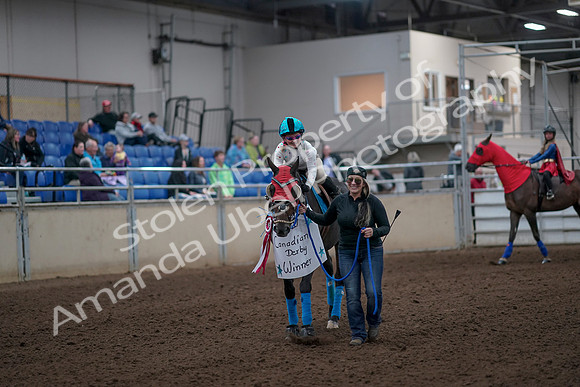 2019 Morgan Horse Show - Aug 31, 2019 - 09968