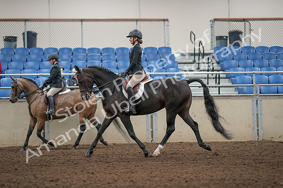 2019 Morgan Horse Show - Aug 31, 2019 - 04853
