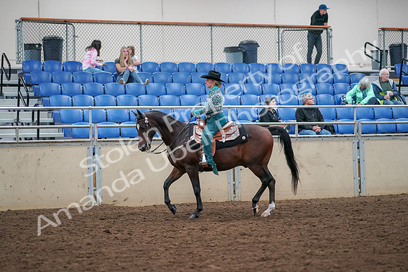 2019 Morgan Horse Show - Aug 30, 2019 - 16698