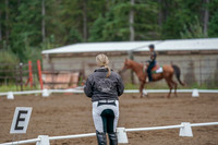 2019 Morgan Horse Show - Aug 30, 2019 - 00217