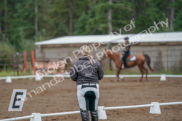 2019 Morgan Horse Show - Aug 30, 2019 - 00217