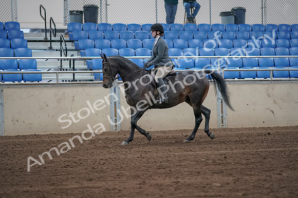 2019 Morgan Horse Show - Sept 01, 2019 - 10896