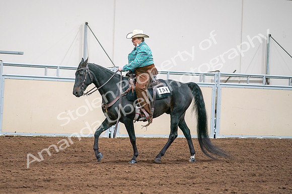 2020 - AB Morgan Horse - Sun, Sept 06 - 01590