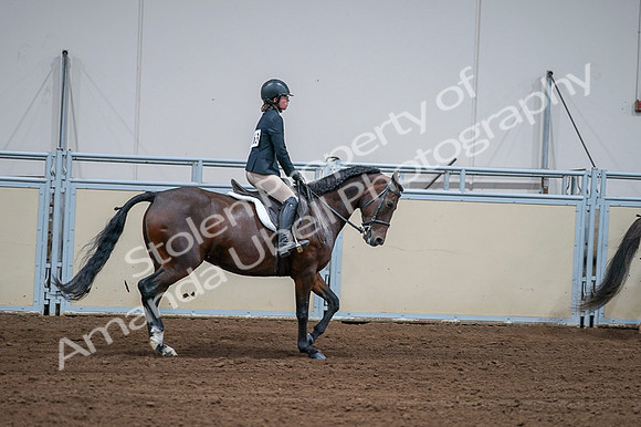 2020 - AB Morgan Horse - Fri, Sept 04 - 01820