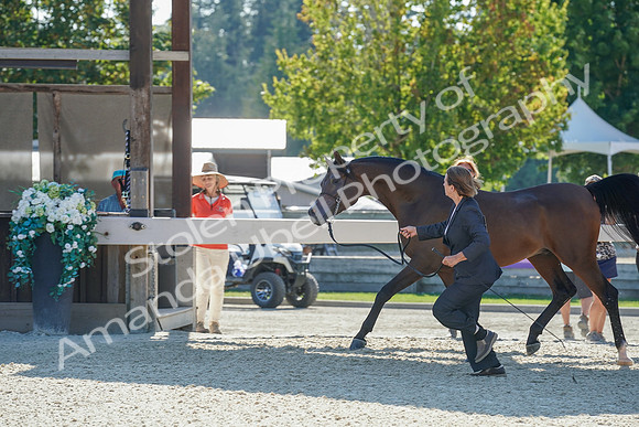 2024 - WCB - July 19 - 03751
